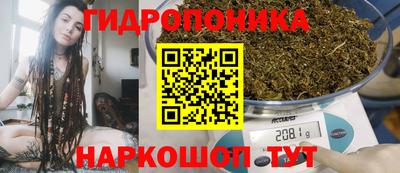прущие грибы Жуковский