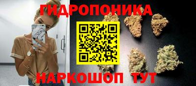 прущие грибы Жуковский