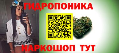 ПСИЛОЦИБИНОВЫЕ ГРИБЫ Заводоуковск